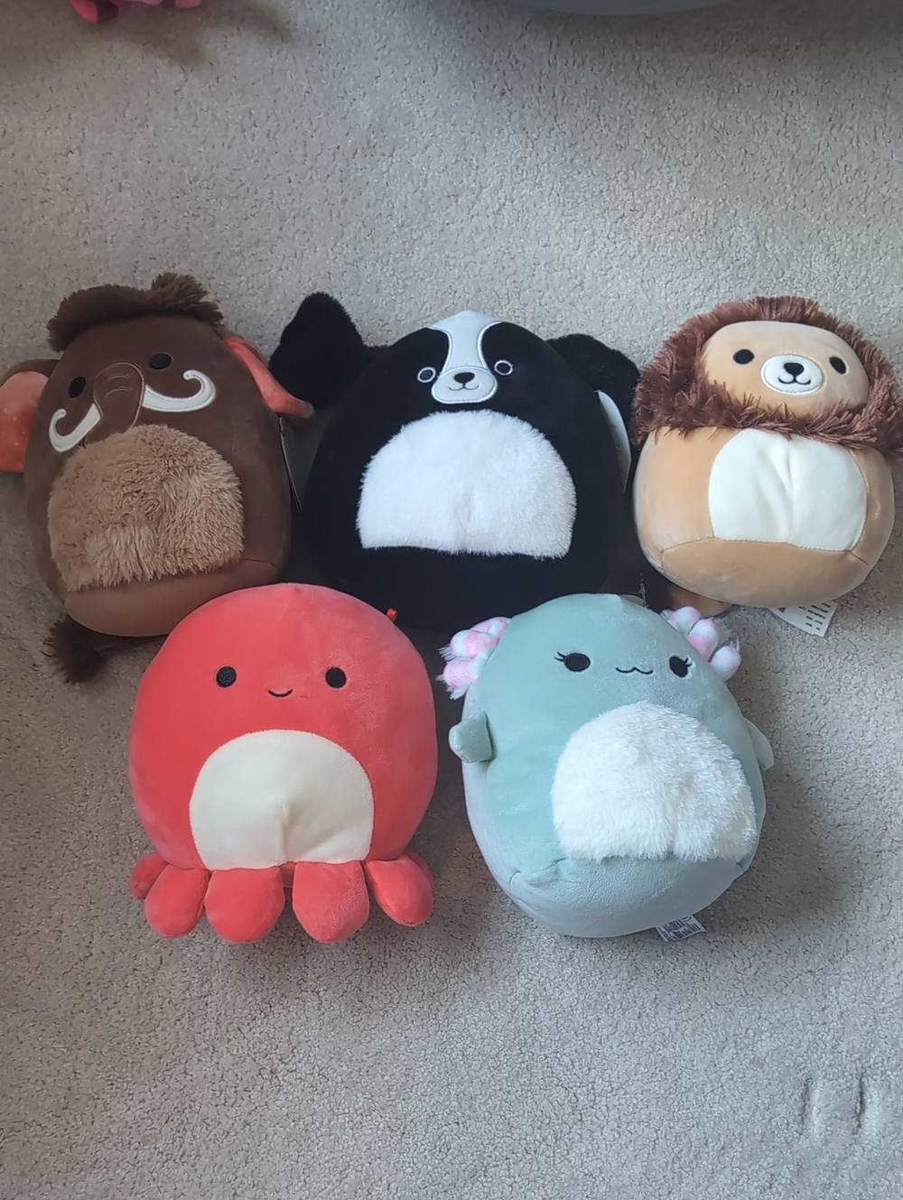 Lot Of Animal Squishmallows